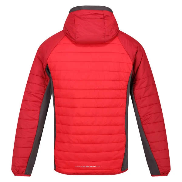 REGATTA TRUTTON CHINESE RED/DAR 23 4 REGATTA TRUTTON CHINESE RED/DAR 23 - Afbeelding 2